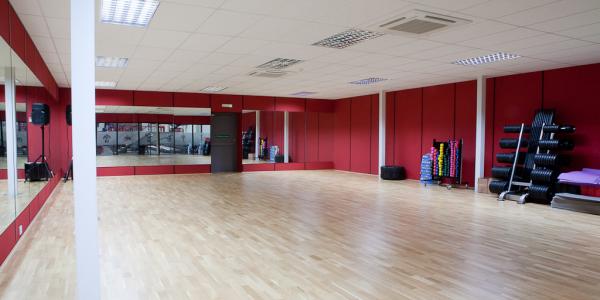 Commercial Project, Ab salute gym