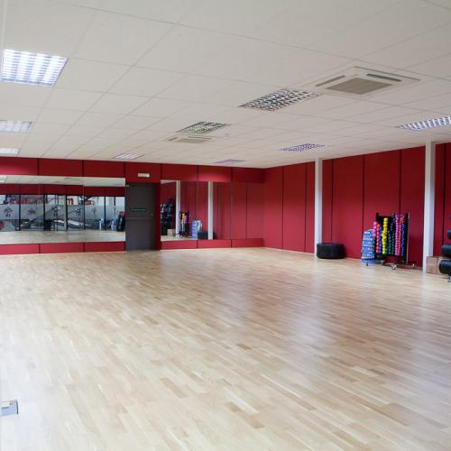 Commercial Project, Ab salute gym